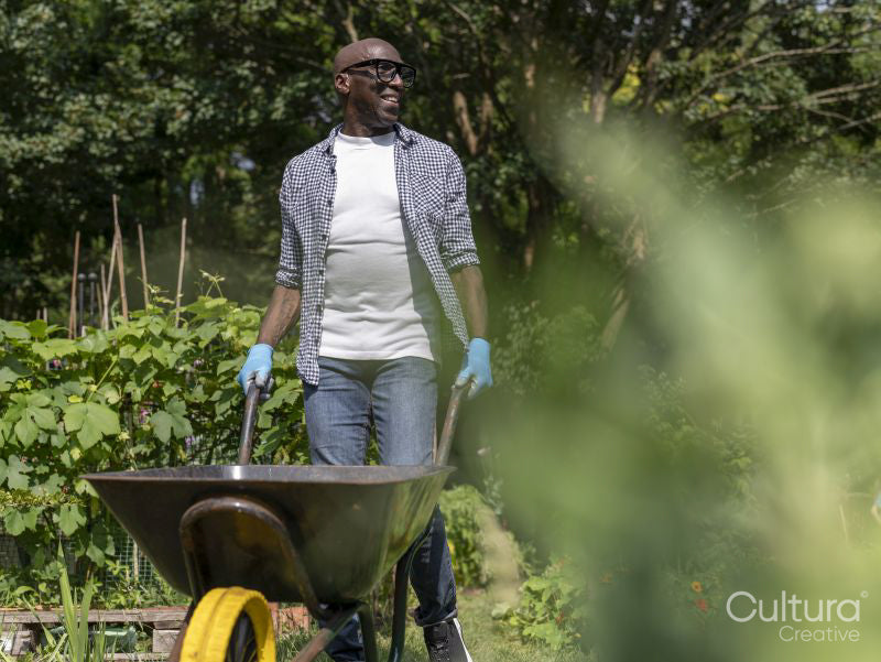 Smiling mature man gardening in allotment