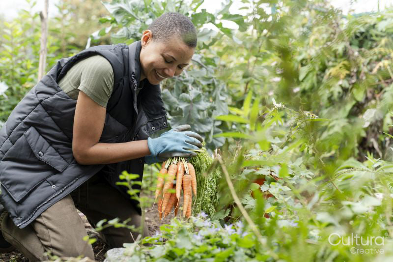 Smiling woman holding bunch of carrots in urban garden