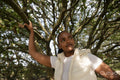 Portrait of young woman standing under tree, reaching to branch