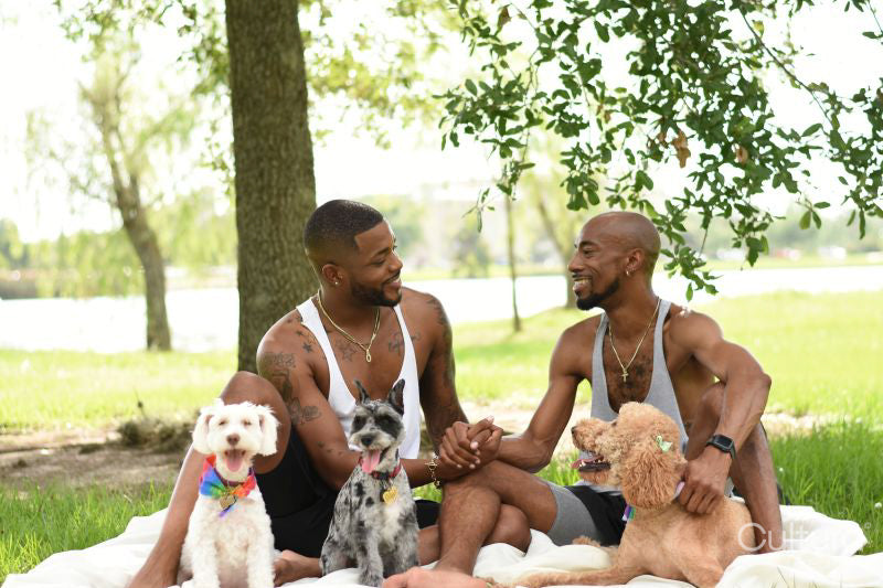 Louisiana, couple with dogs having picnic on lawn in park