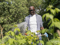 Smiling mature man watering plants in garden