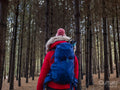 Female backpacker hiking in forest