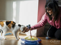 Smiling woman stroking cat at home