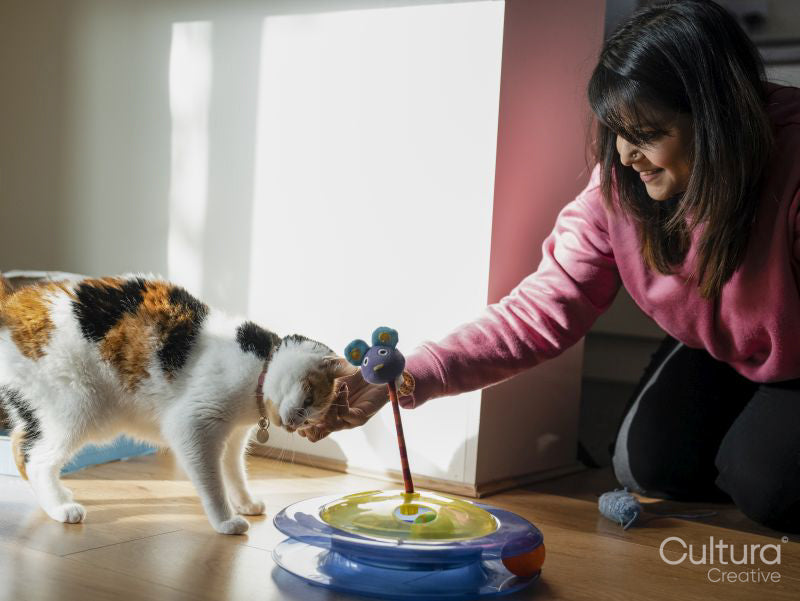 Smiling woman stroking cat at home
