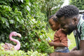 Father and daughter looking at flamingo sculpture in garden