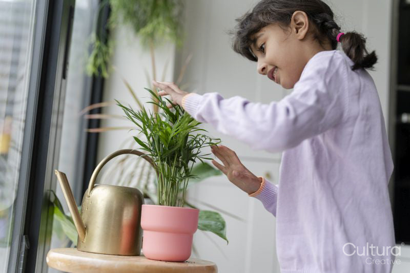 Little girl taking care of plant at home