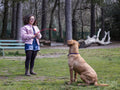 Girl playing with dog in park
