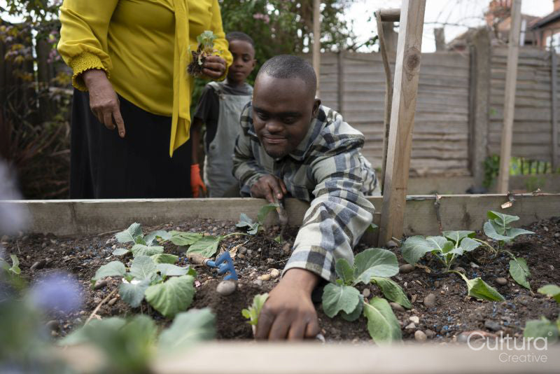Man with Down syndrome planting seedlings in garden