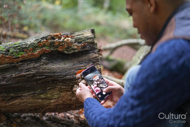 Man taking picture of small mushroom growing on log in forest
