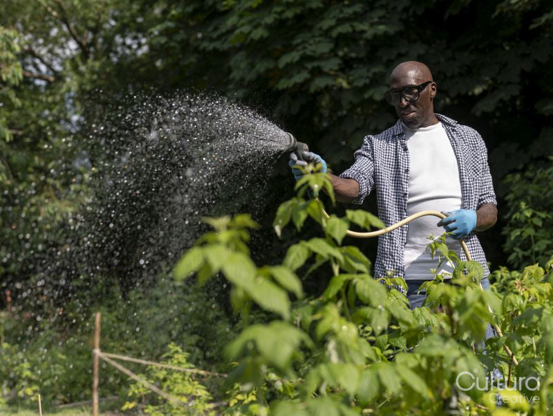 Smiling mature man watering plants in garden