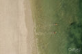 Indonesia, Lombok, Aerial view of men surfing in sea