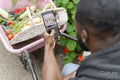 Close-up of man photographing vegetables with smart phone