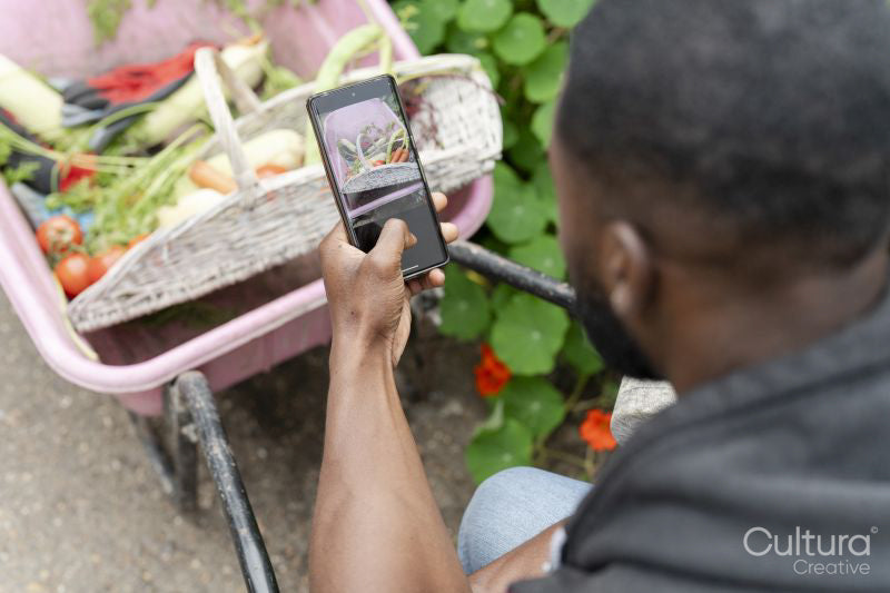 Close-up of man photographing vegetables with smart phone