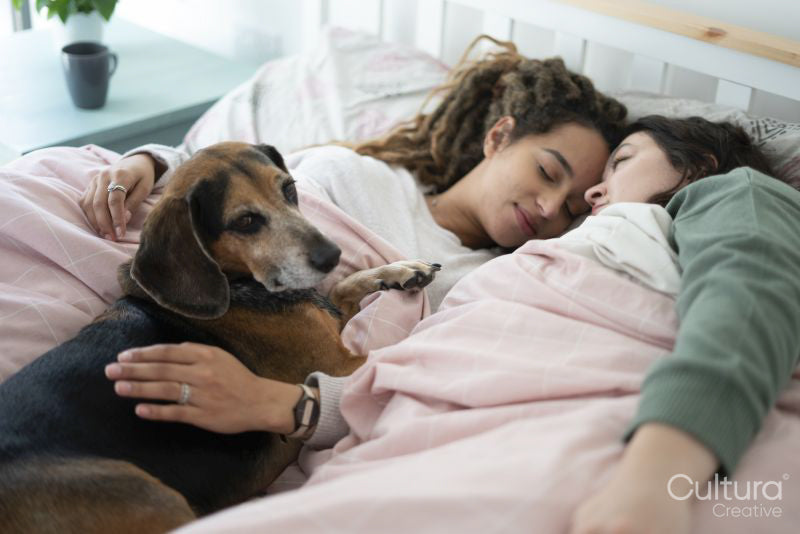 Two women and dog in bed