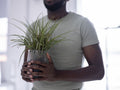 Midsection of person holding potted plant
