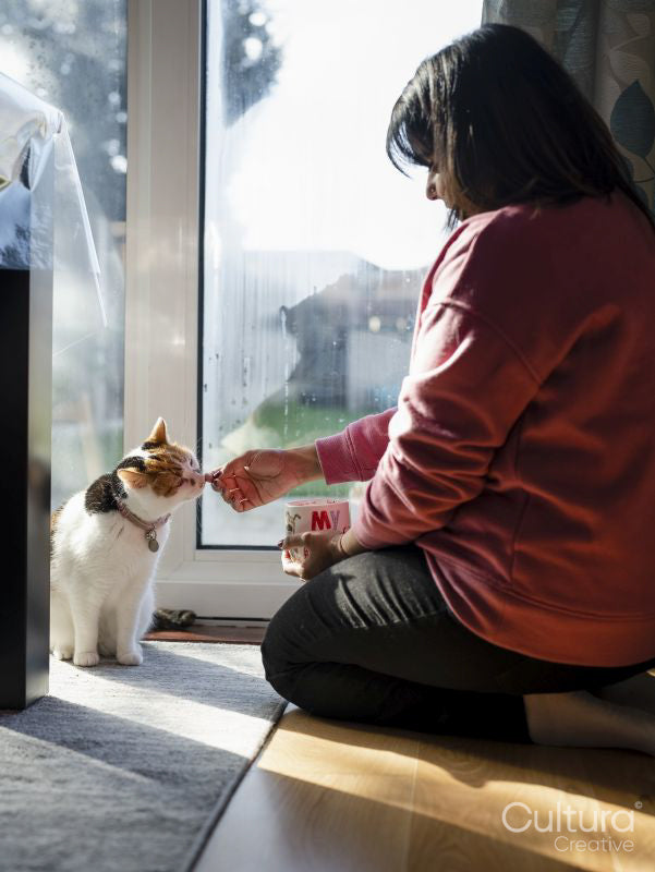 Woman stroking cat by window at home