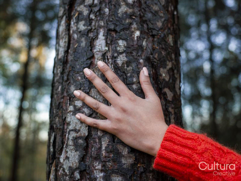 Female hand touching tree trunk