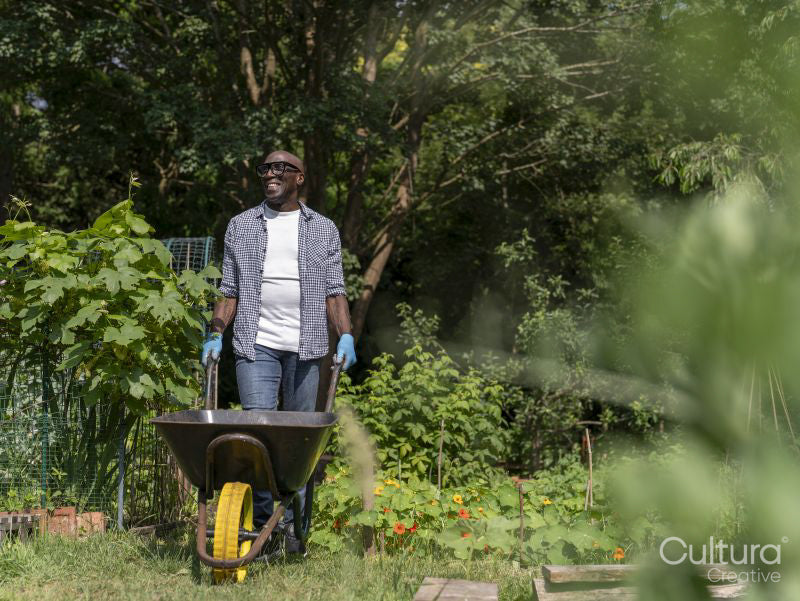 Smiling mature man gardening in allotment