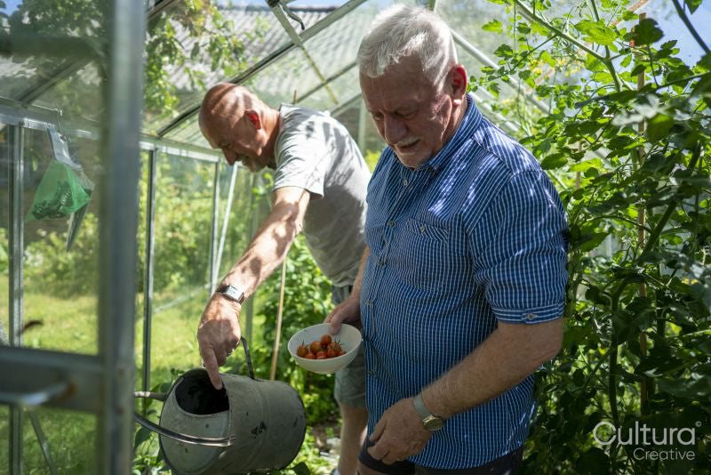 Senior male couple gardening