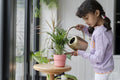 Little girl watering plant at home