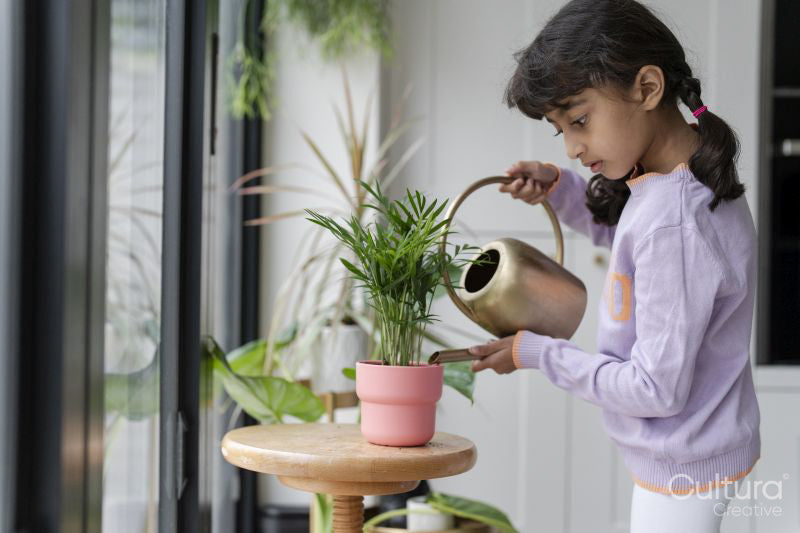Little girl watering plant at home