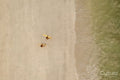 Indonesia, Lombok, Aerial view of men walking with surfboards on beach