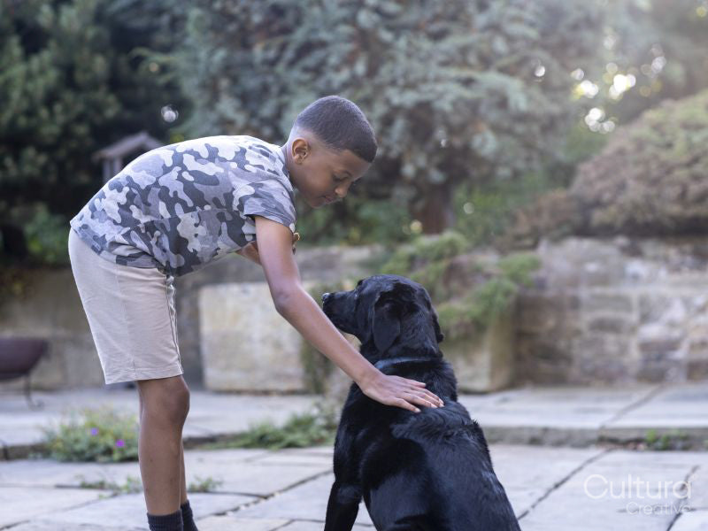 Boy petting dog