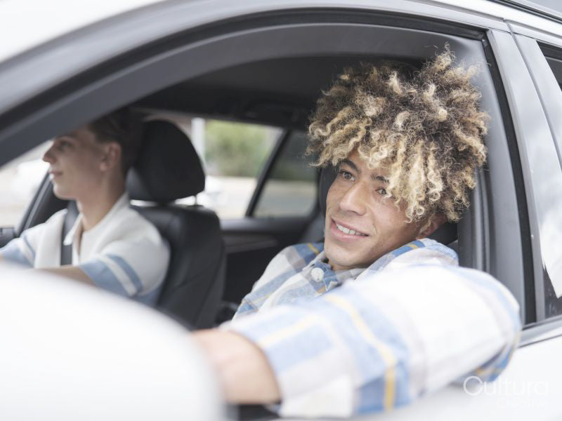 Male couple driving car