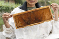 Close-up of female beekeeper holding frame from beehive in urban garden
