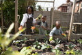 Siblings planting seedlings in garden
