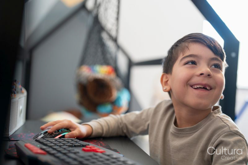 Boy using computer at home