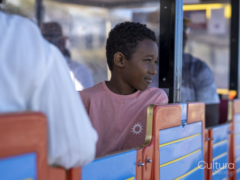 Boy on land train tourist ride