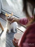 Woman stroking cat at home