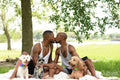 Louisiana, couple with dogs kissing on lawn in park