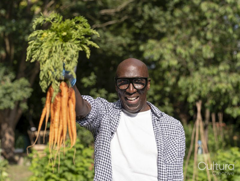 Smiling mature man collecting carrots in allotment