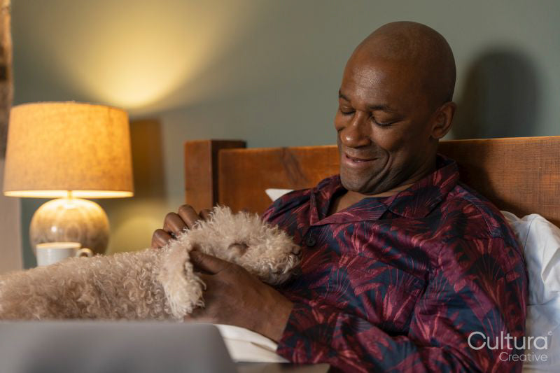 Man petting dog while lying in bed in morning