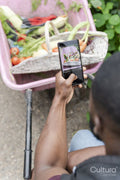 Close-up of man photographing vegetables with smart phone