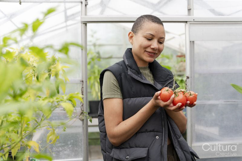 Portrait of smiling woman holding tomatoes in greenhouse
