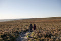 Rear view of two women hiking in moorland