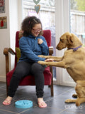 Smiling girl with Down Syndrome playing with dog at home