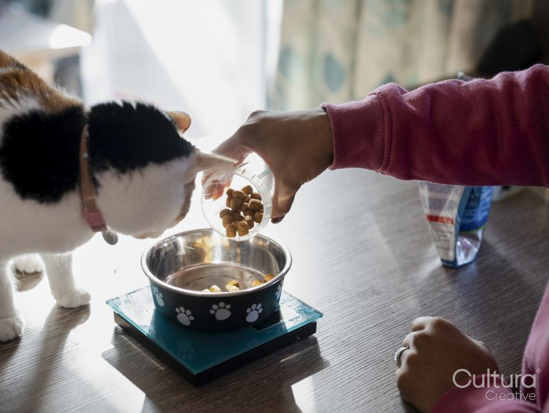 Woman weighing cat food in kitchen