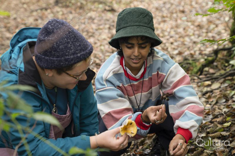 Female friends picking mushrooms in forest