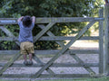 Boy climbing fence