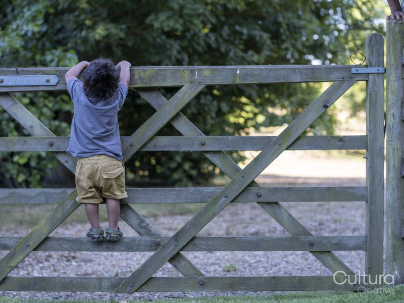 Boy climbing fence
