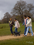 Group of young friends with dog in countryside