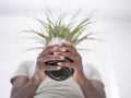 Low angle view of person holding potted plant