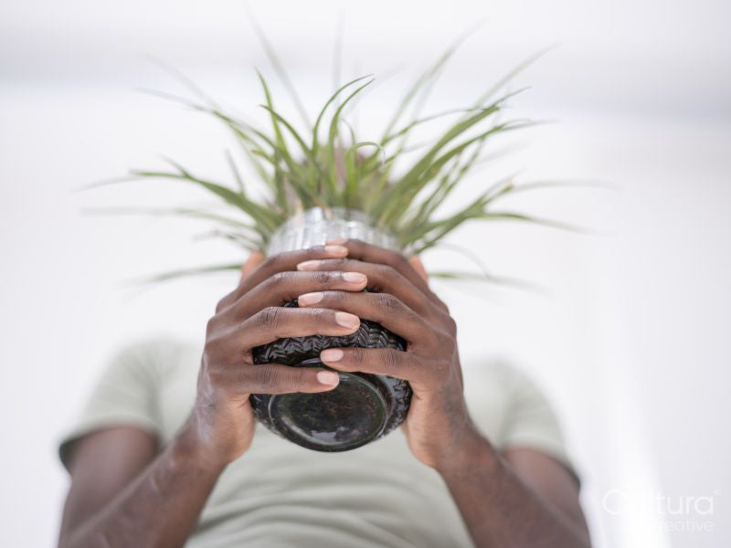 Low angle view of person holding potted plant