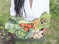 Mature woman holding vegetables from garden